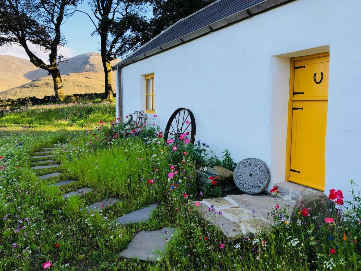 Thistle Thatch Cottage And Hot Tub - Mourne Mountains Newcastle  Exteriör bild