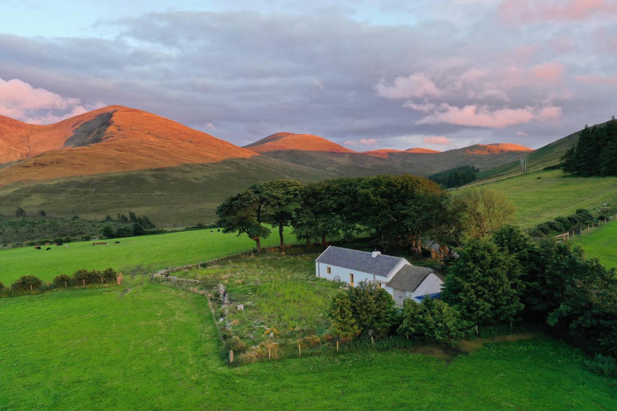 Thistle Thatch Cottage And Hot Tub - Mourne Mountains Newcastle  Exteriör bild