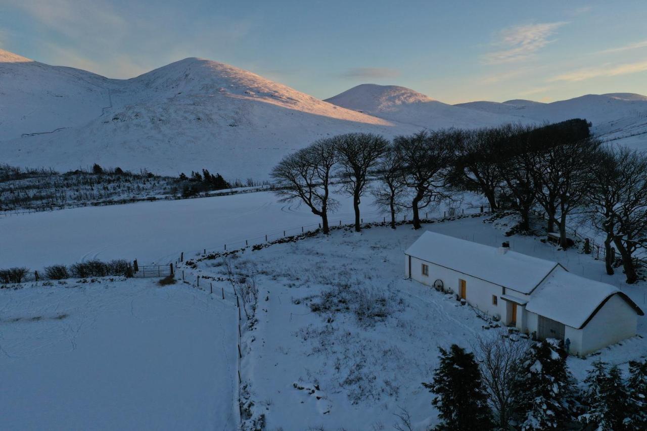 Thistle Thatch Cottage And Hot Tub - Mourne Mountains Newcastle  Exteriör bild