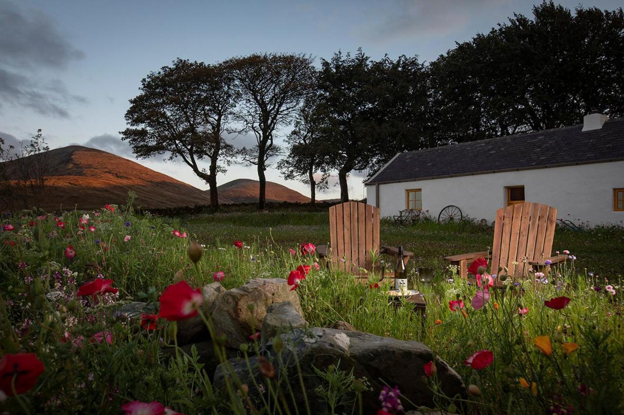 Thistle Thatch Cottage And Hot Tub - Mourne Mountains Newcastle  Exteriör bild
