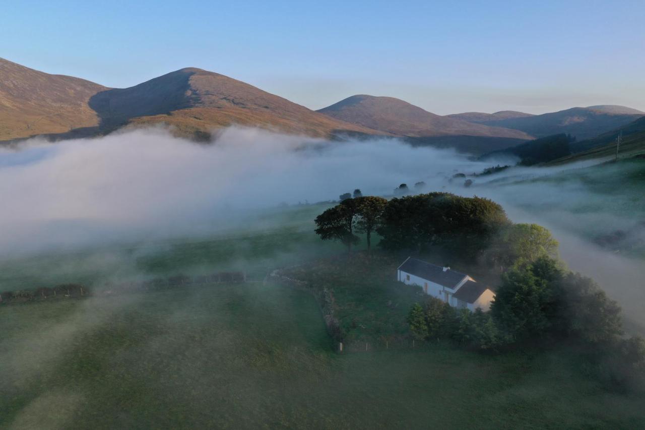 Thistle Thatch Cottage And Hot Tub - Mourne Mountains Newcastle  Exteriör bild